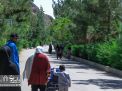 گزارش تصویری | همایش پیاده روی خانوادگی در پردیس معدن آموزشی 